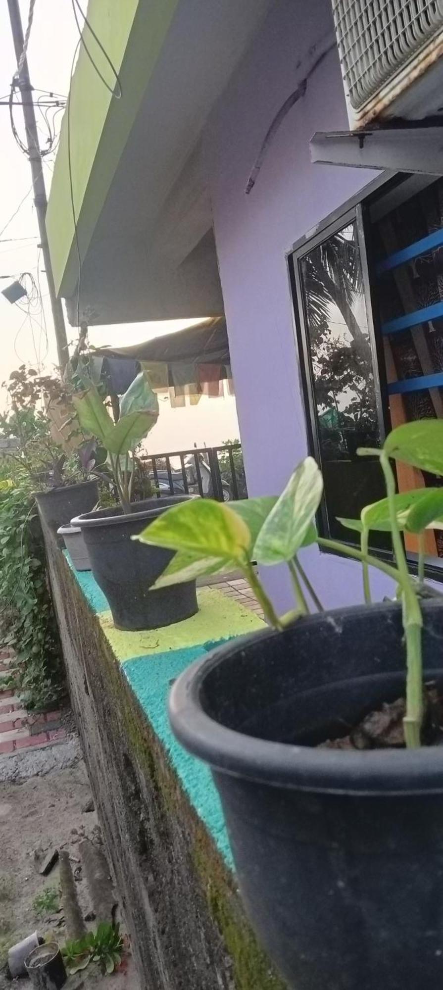 Peace And Love Stay Alappuzha Екстер'єр фото